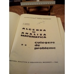 D. Flondor - Algebra si analiza matematica Culegere de probleme Vol. II