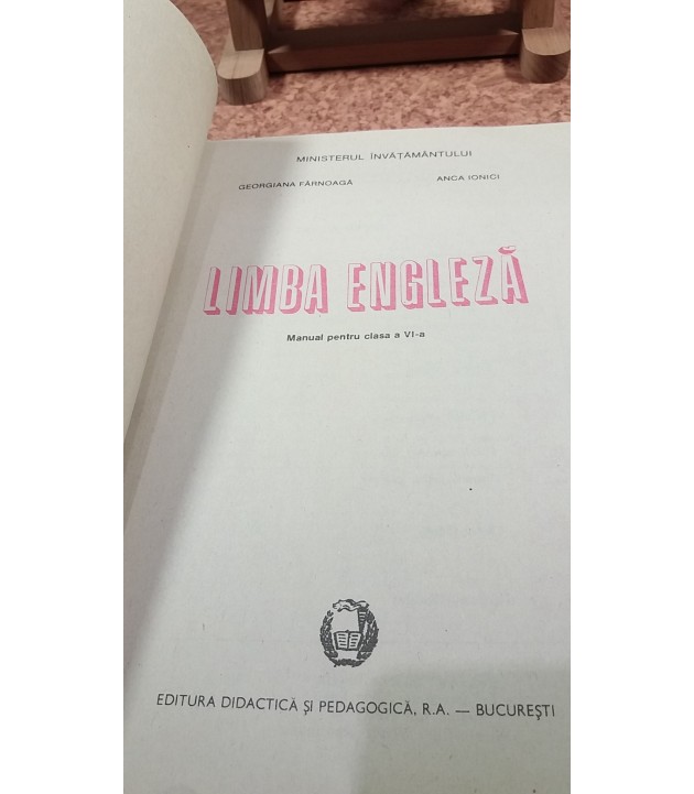 Georgiana Farnoaga - Limba engleza manual pentru clasa a VI a