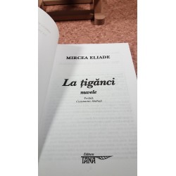 Mircea Eliade - La tiganci