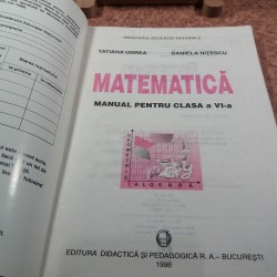 Tatiana Udrea - Matematica manual pentru clasa a VI a