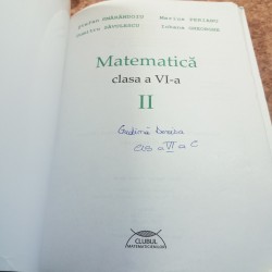 Stefan Smarandoiu - Matematica pentru clasa a VI a II