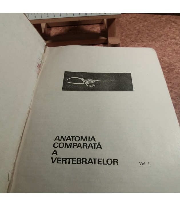 G.T. Dornescu - Anatomia comparata a vertebratelor Vol. I
