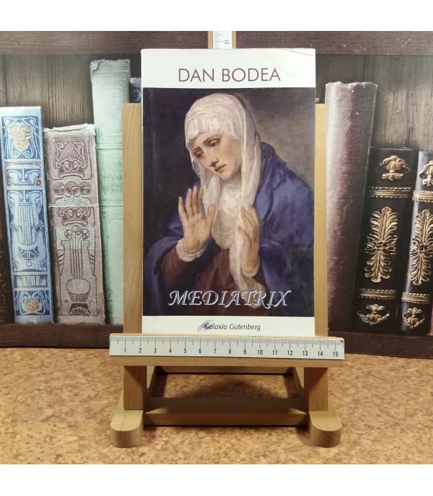 Dan Bodea - Mediatrix