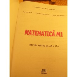 Marcel Tena - Matematica M1 manual pentru clasa a XI a