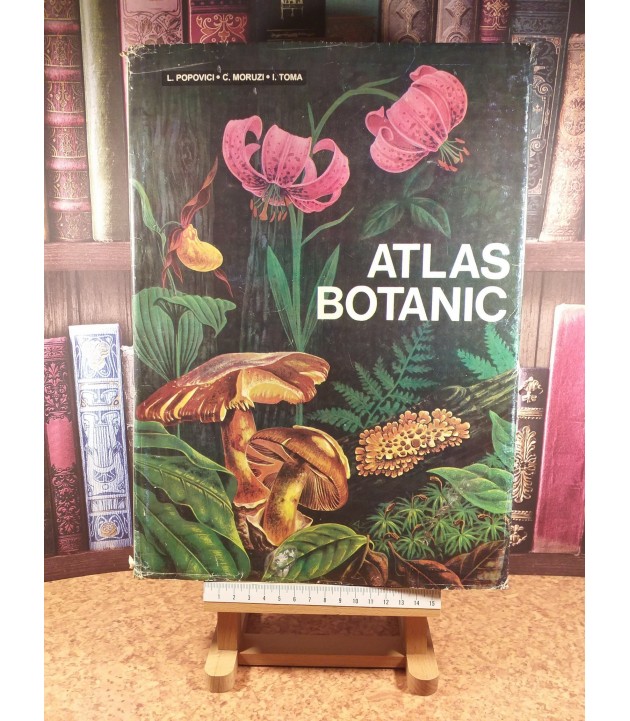 Lucia Popovici - Atlas Botanic