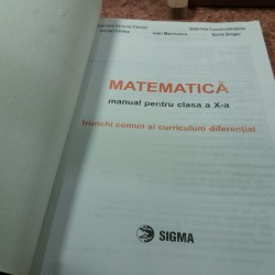 Gabriela Streinu Cercel - Matematica manual pentru clasa a X a Trunchi comun + Curriculum diferentiat