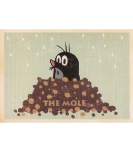Carte Postala "The Mole"